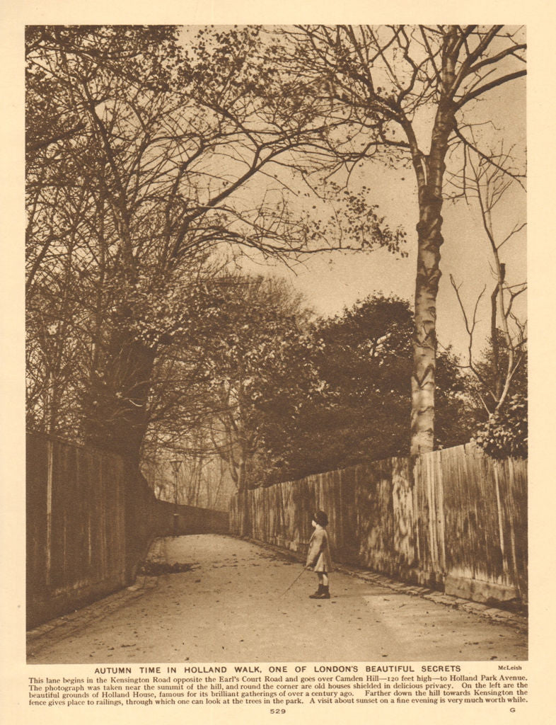 Autumn Time in Holland Walk, Holland Park. Campden Hill. Child 1926 old print